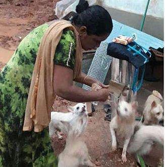 ഫയർഫോഴ്സും തോറ്റിടത്ത് വീട്ടമ്മയുടെ 'നിശ്ചയദാർഢ്യം' വിജയിച്ചു ; മണ്ണിനടിയിൽപ്പെട്ട നായകൾക്ക് ആറു മണിക്കൂറിന് ശേഷം പുനർജന്മം