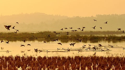 ചിത്രങ്ങള്‍: പ്രസൂണ്‍ കിരണ്‍