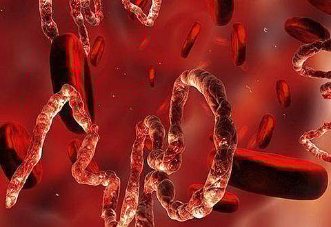 എബോള അടിയന്തരാവസ്ഥ: ഇന്ത്യയ്ക്ക് ലോകാരോഗ്യ സംഘടനയുടെ മുന്നറിയിപ്പ്