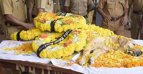 കേരള പൊലീസിന്റെ അഭിമാനമായിരുന്ന 'തണ്ടര്‍' ഇനി ഓര്‍മ്മ