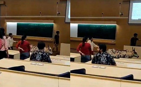 ക്ലാസ് മുറിയിലേക്ക് അപ്രതീക്ഷിത അതിഥിയായി പശു; ഇത് പുതിയ ഇന്ത്യയുടെ മുഖമെന്ന് കമന്റ്, വിഡിയോ 