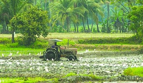 കാര്‍ഷിക കടാശ്വാസ പദ്ധതിയുടെ പരിധി ഉയര്‍ത്തി ; രണ്ട് ലക്ഷം രൂപ വരെ എഴുതിത്തള്ളുമെന്ന് സര്‍ക്കാര്‍