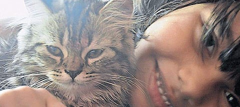 സിനിമാപ്പൂച്ച 'സ്‌നോബെല്ലിനെ' കാണാനില്ല ; വിഷമത്തോടെ വീട്ടുകാര്‍