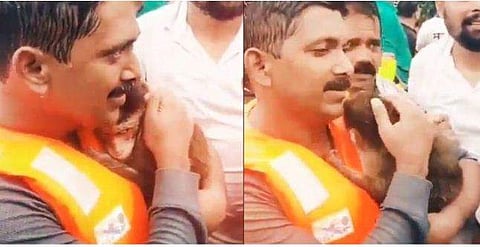 ഇതാണ് കലര്‍പ്പില്ലാത്ത സഹജീവി സ്‌നേഹം! ; മഴയില്‍ വിറങ്ങലിച്ച കുഞ്ഞ്കുരങ്ങനെ മാറോട് ചേര്‍ത്ത് വിതുമ്പി രക്ഷാപ്രവര്‍ത്തകന്‍ (വീഡിയോ)