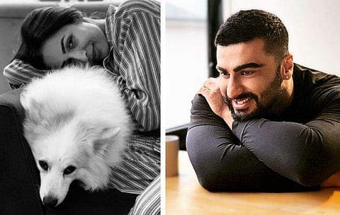 ഫോട്ടോ ക്രെഡിറ്റിന് തല്ലുകൂടി അര്‍ജുനും മലൈകയും; മനോഹര ചിത്രങ്ങള്‍ ഏറ്റെടുത്ത് ആരാധകര്‍ 