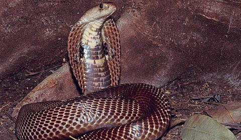 പ്രതീകാത്മക ചിത്രം