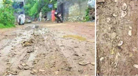 വീട്ടിലേക്കുള്ള വഴിയില്‍ മുഴുവന്‍ ഗര്‍ഭനിരോധന ഉറകള്‍;ഗതികെട്ട് കക്കോട് നിവാസികള്‍