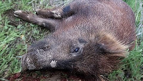 ഫയല്‍ ചിത്രം