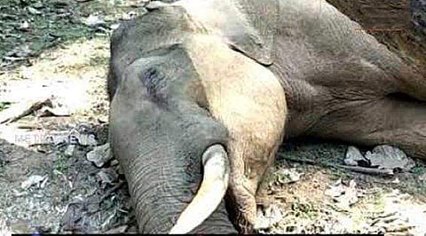 പ്രതീകാത്മക ചിത്രം