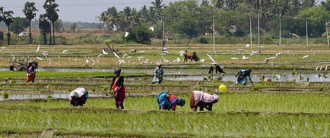 കര്‍ഷകര്‍ക്ക് ആശ്വാസം ; കാര്‍ഷിക വായ്പകളിലെ മോറട്ടോറിയം ഡിസംബര്‍ 31 വരെ തുടരും