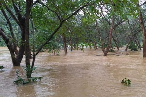 പ്രതീകാത്മക ചിത്രം