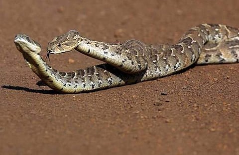 പ്രതീകാത്മക ചിത്രം