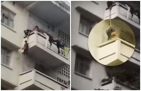 പൂച്ചയെ രക്ഷിക്കാന്‍ അഞ്ചാം നിലയില്‍ നിന്ന് ചെറുമകനെ താഴേക്ക് കെട്ടിയിറക്കി മുത്തശ്ശി (വീഡിയോ)