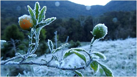 ഫയല്‍ചിത്രം
