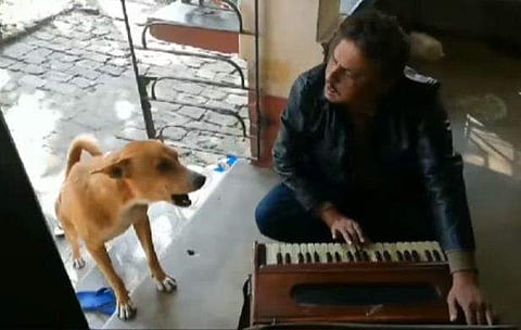 'തേരി മേരി കഹാനി' പാടിയപ്പോള്‍ ഒപ്പം കൂടി നായയും; മികച്ചത് നായയുടെ പാട്ടെന്ന് സോഷ്യല്‍ മീഡിയ (വീഡിയോ)