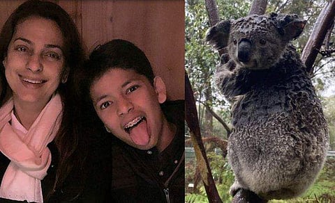 കാട്ടുതീയില്‍ ഇരകളായവര്‍ക്ക് സഹായഹസ്തവുമായി ജൂഹി ചൗളയുടെ മകന്‍; സംഭാവന സ്വന്തം പോക്കറ്റ് മണിയില്‍ നിന്ന്