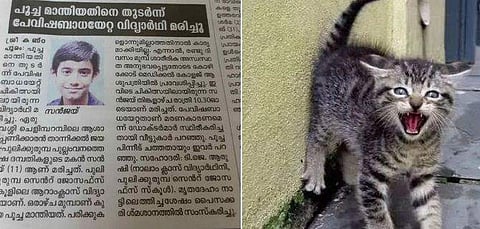 അത്ര നിസ്സാരമായി കാണരുത്; പൂച്ച മാന്തിയ കുട്ടിക്ക് സംഭവിച്ചത് ഇതൊക്കെ