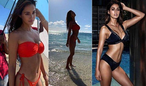 സോഷ്യല്‍ മീഡിയയെ തീപിടിപ്പിച്ച് ദിഷ പഠാനി; ഗ്ലാമറസ് ചിത്രങ്ങള്‍ വൈറല്‍