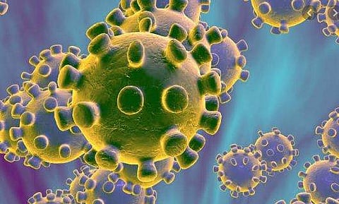 കൊറോണ : ചൈനയിൽ നിന്നും പേരാവൂരിൽ എത്തിയ ഒരു കുടുംബം നിരീക്ഷണത്തിൽ ; ആരോ​ഗ്യവകുപ്പിന്റെ കർശന നിർദേശം