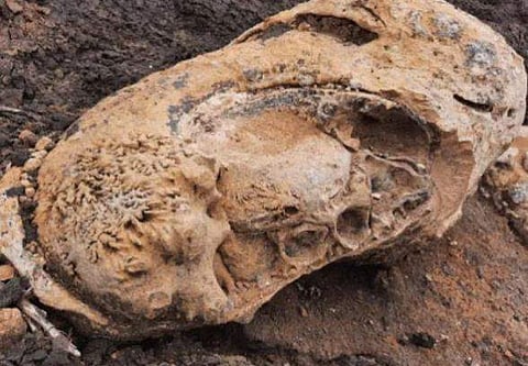 തമിഴ്‌നാട്ടില്‍ 'ദിനോസറിന്റെ മുട്ട'; സത്യാവസ്ഥ ഇത് 