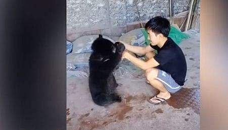 കരടിക്കുട്ടിയെ രക്ഷിച്ചു, ഒന്‍പത് മാസം കുട്ടി വളര്‍ത്തി; വനംവകുപ്പിന് കൈമാറി, 'ലുംബയ്ക്ക്'‌ നിറകണ്ണുകളോടെ യാത്രയയപ്പ് ( വീഡിയോ)