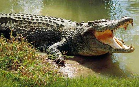 പ്രതീകാത്മക ചിത്രം