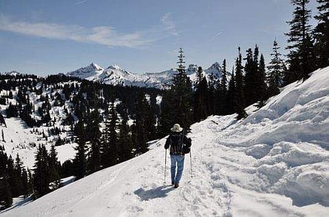 പ്രതീകാത്മക ചിത്രം