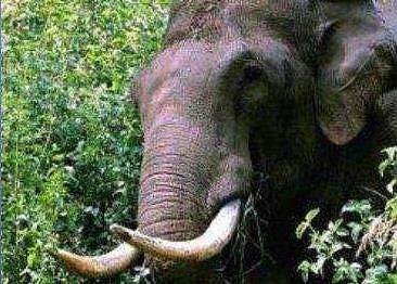 പ്രതീകാത്മക ചിത്രം