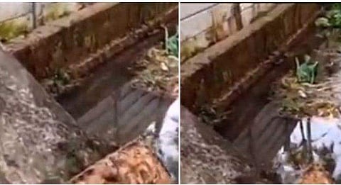 വിഴിഞ്ഞത്ത് നടപ്പാലം തകര്‍ന്ന് അഞ്ച് തൊഴിലുറപ്പ് സ്ത്രീകള്‍ക്ക് പരിക്ക് ; മൂന്നു പേരുടെ നില ഗുരുതരം