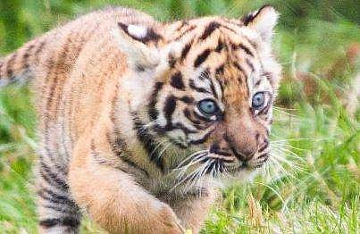 പ്രതീകാത്മക ചിത്രം