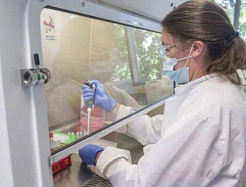 വൈദ്യുതി കടത്തിവിട്ട് വൈറസ് കണ്ടെത്താം, കോവിഡ് പരിശോധനയ്ക്ക് പുതിയ മാര്‍ഗ്ഗം, കൂടുതല്‍ കൃത്യതയെന്ന് ശാസ്ത്രജ്ഞര്‍