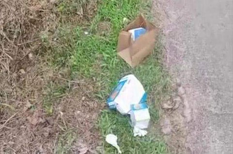 കാറിലിരുന്ന് പിസ കഴിച്ചു, ബാക്കിവന്ന ഭക്ഷണാവശിഷ്ടം നേരെ പുറത്തേക്ക്; യുവാക്കൾക്ക് 80 കിലോമീറ്റർ തിരിച്ച് വണ്ടിയോടിച്ച് മാലിന്യം പെറുക്കേണ്ടിവന്നു 