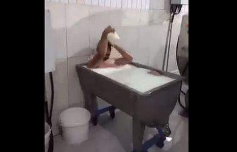 ലിറ്റര്‍ കണക്കിന് പാലില്‍ കുളിച്ച് യുവാവ്; ക്ഷീരോത്പാദന കേന്ദ്രത്തിലെ ജീവനക്കാരന്‍ അറസ്റ്റില്‍, പ്ലാന്റ് അടച്ചുപൂട്ടി- വൈറല്‍ വീഡിയോ