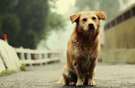 പ്രതീകാത്മക ചിത്രം