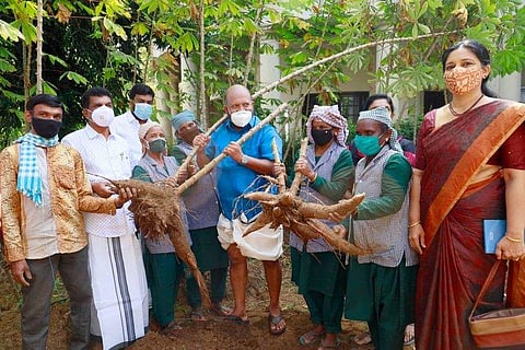 ആലുവ പാലസിൽ വിളവെടുപ്പ് നടത്തുന്ന വിഎസ് സുനിൽകുമാർ/ ഫേയ്സ്ബുക്ക്