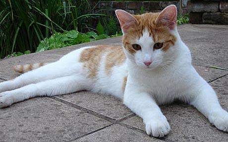 പ്രതീകാത്മക ചിത്രം