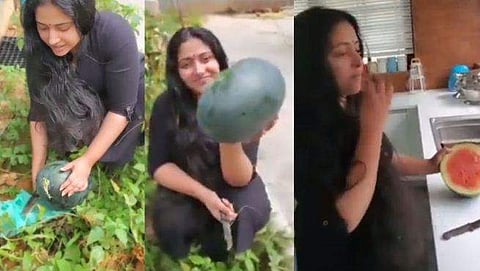 തണ്ണീർ മത്തൻ വിളവെടുക്കുന്ന അനു സിത്താര/ ഇൻസ്റ്റ​ഗ്രാം വിഡിയോ