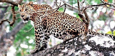 പ്രതീകാത്മക ചിത്രം