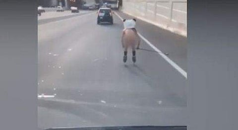 നഗ്നനായി ഓടുന്ന യുവാവ്, വീഡിയോ ചിത്രം