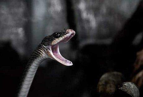 പ്രതീകാത്മക ചിത്രം