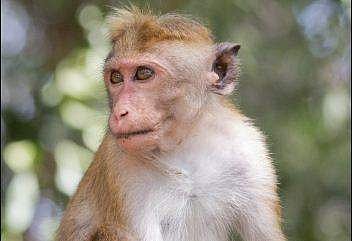 പ്രതീകാത്മക ചിത്രം