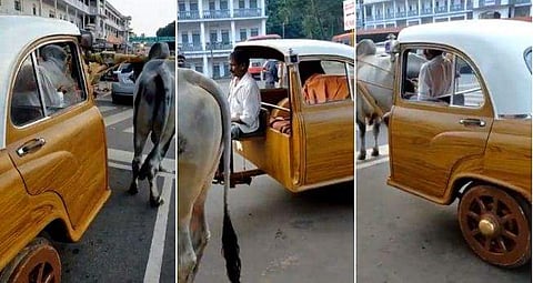 വീഡിയോ ദൃശ്യം