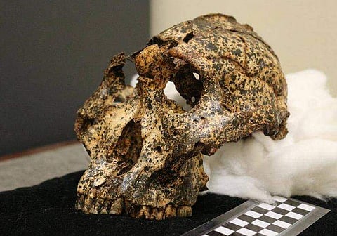 പ്രതീകാത്മക ചിത്രം