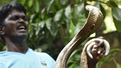 വാവ സുരേഷിന്റെ ആരോഗ്യനില തൃപ്തികരം; തീവ്രപരിചരണ വിഭാഗത്തില്‍ തുടരുമെന്ന് ഡോക്ടര്‍മാര്‍