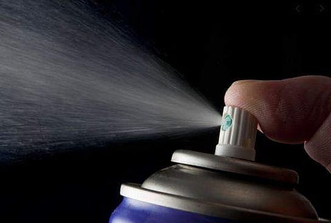 പൊലീസിന് നേരെ കഞ്ചാവ് സംഘത്തിന്റെ ആക്രമണം; കുരുമുളക് സ്പ്രേ പ്രയോ​ഗിച്ചു; ഒരാൾ പിടിയിൽ; മൂന്ന് പേർ രക്ഷപ്പെട്ടു