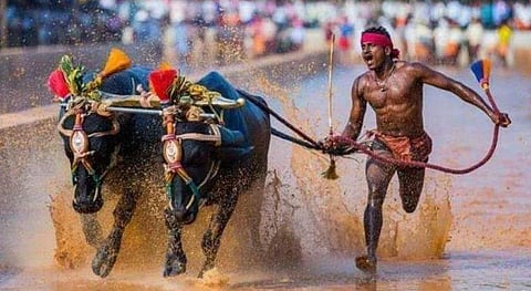 ഉസൈന്‍ ബോള്‍ട്ടിനെ വെല്ലും ഓട്ടക്കാരനായി വളര്‍ത്തും? ശ്രീനിവാസ ഗൗഡയെ സായിയിലേക്ക് വിളിപ്പിച്ച് കേന്ദ്ര കായിക മന്ത്രി