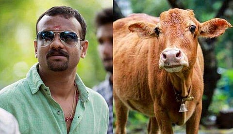 പശുക്കള്‍ക്ക് 400 കിലോ ഭക്ഷണവുമായി ആര്‍എസ് വിമല്‍ എത്തി; ഒരു പശുക്കുട്ടിക്ക് മകളുടെ പേരു വിളിച്ചു