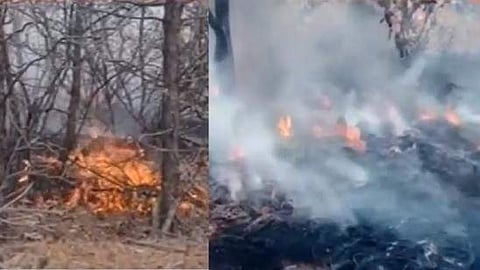 കാട്ടുതീ കെടുത്തുന്നതിനിടെ വെന്തുമരിച്ച 3 വനപാലകരുടെ ആശ്രിതര്‍ക്ക് ജോലി നല്‍കുമെന്ന് വനം മന്ത്രി