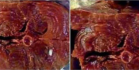 ചന്തയിൽ നിന്നും  130 രൂപയ്ക്ക് മീൻ വാങ്ങി ; മുറിച്ചപ്പോൾ പുറത്തേക്കു വന്നത്  തുരുതുരെ പുഴുക്കൾ ; വിൽപ്പനക്കാരൻ മുങ്ങി