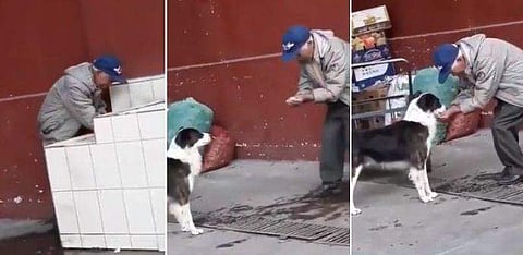 ദാഹിച്ചു വലഞ്ഞ് തെരുവ് നായ; കൈക്കുമ്പിളിൽ വെള്ളം നിറച്ച് കുടിക്കാൻ കൊടുക്കുന്ന വൃദ്ധൻ; അനുകമ്പയുടെ ദൃശ്യങ്ങൾ വൈറൽ (വീഡിയോ)